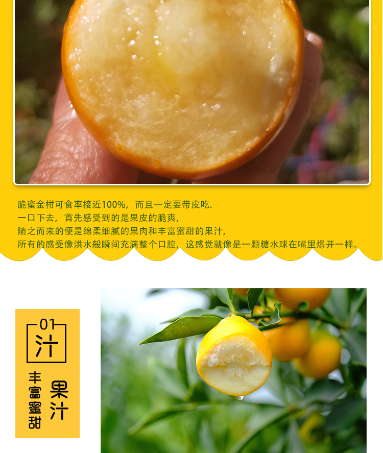 亲亲匠品融安脆蜜金柑秋冬上新啦 现摘现发 顺非包邮